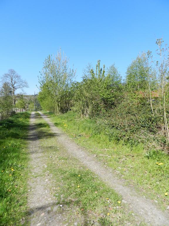 B&B Le Bois De Champia Huy Eksteriør billede