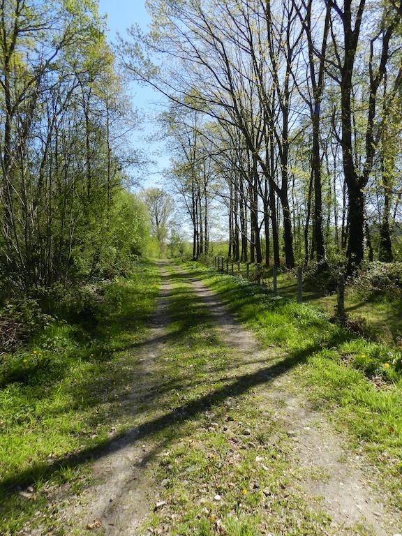 B&B Le Bois De Champia Huy Eksteriør billede