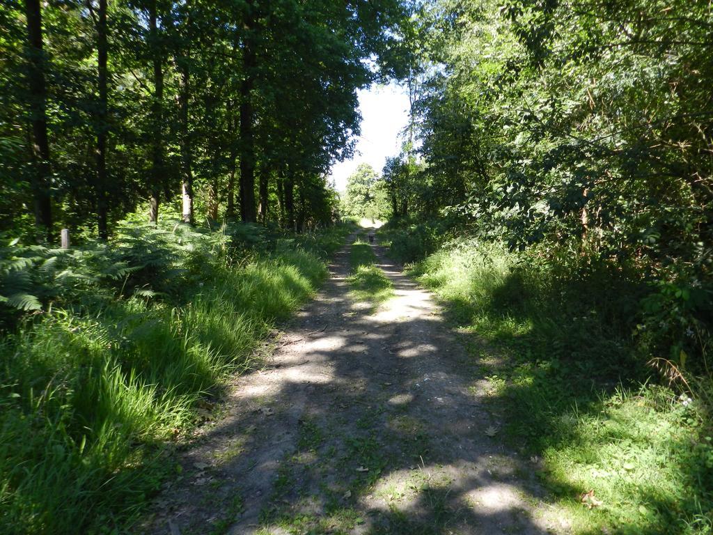 B&B Le Bois De Champia Huy Eksteriør billede